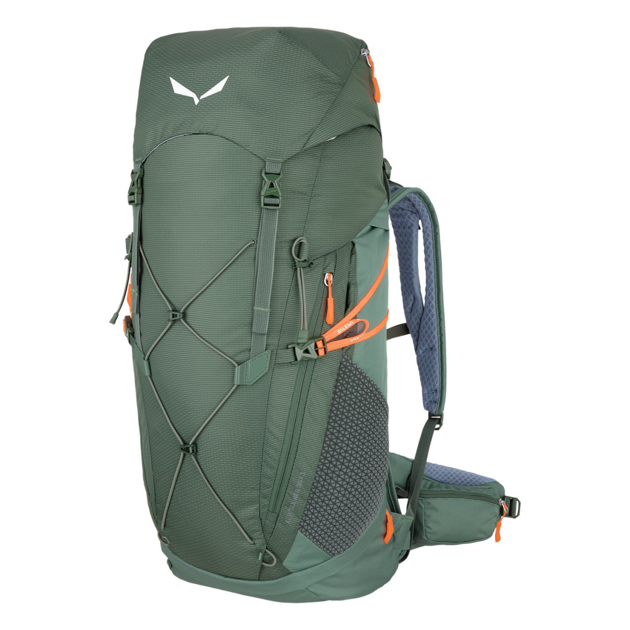 Mochilas Salewa Alp Trainer 35+3L Verdes 531TDGJZR